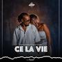 c'est la vie (selavi)