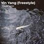 Yin Yang (Freestyle)