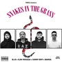 Snakes in the Grass (feat. Slim Swagga, Sunny Boy & Banka) [Explicit]