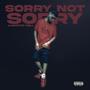 Sorry Not Sorry (Explicit)