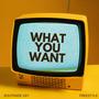 What you want (freestyle) [Explicit]