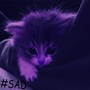 Sad