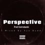 Perspective (Explicit)