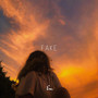 Fake (Instrumental)