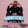 Arborescence (Explicit)