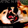 Attac N Protec