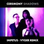 Impetus (Vyger Remix)