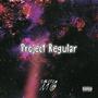 Project Regular (Explicit)