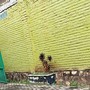 Aku selalu ingin dia