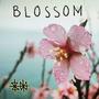 Blossom (demo)