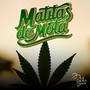 Matitas De Mota