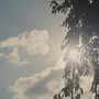 shades of spring