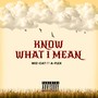 Know what I mean (Explicit)