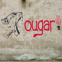 Cougar! (Explicit)