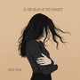 In the Shape of This Moment