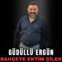 Bahçeye Ektim Çilek