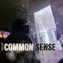 Common Sense (Explicit)