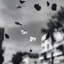 Movimento