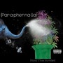 Paraphernalia (Explicit)