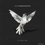 Fly, Hummingbird