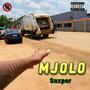 Mjolo