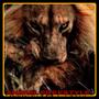 Animal Freestyle (Explicit)