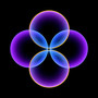 Mind Body Harmony