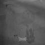 bruised (demo) [Explicit]