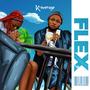 Flex (Explicit)