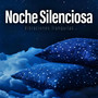 Noche Silenciosa