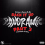 Back It Up: Panoramic, Pt. 2 (feat. Priceless Da Roc) [Explicit]