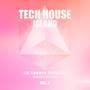 Tech House Island (25 Summer Shakers), Vol. 2