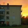 прошлым летом