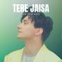 Tere Jaisa - The Snap Song