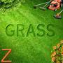 Grass