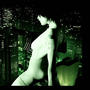 lost (Explicit)