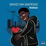 Mwizi Wa Mapenzi