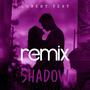 Shadow (Robert Fest Remix)