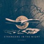 Strangers in the Night (feat. Jules Bangs)