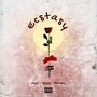 ******* (Explicit)