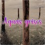 AGUAS GRISES