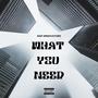 WHAT YOU NEED (Explicit)