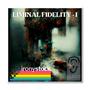 Liminal Fidelity I