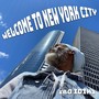 Welcome to New York City