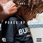 Peace of Mind (Explicit)