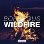 Wildfire (Defners Bootleg)