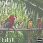 Pause (Explicit)