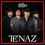 TENAZ