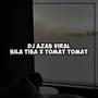 DJ BILA TIBA X TOMAT TOMAT - DJ AZAB REMIX (Explicit)