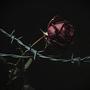 Her Love Is Like a Drug (feat. Ded Zed) [Explicit]
